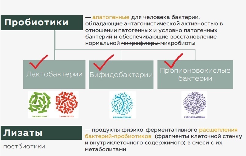 Лизаты бактерий